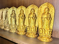 ���q�̂����