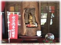 ���q�n��