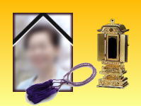 �ʔv�E��i�E��e�E�ʐ^���̋��{