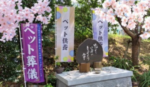 �y�b�g�̑��V�E�[���E���{�̂��ē�