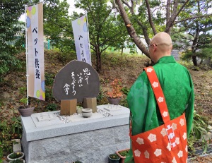 �y�b�g���{